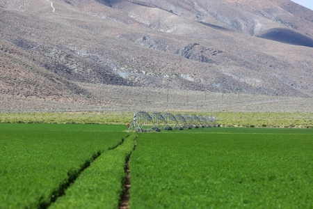 Eastern Oregon Running G Farm - image 32