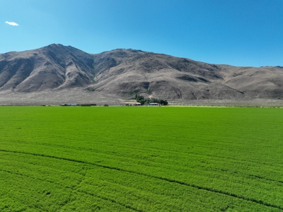 Eastern Oregon Running G Farm - image 42