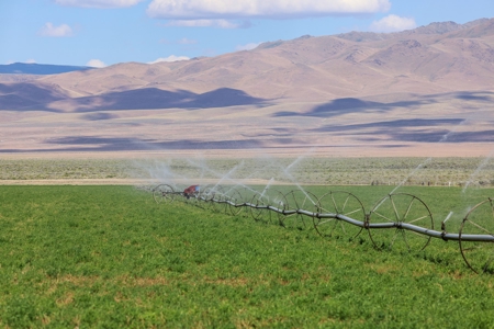 Eastern Oregon Running G Farm - image 27