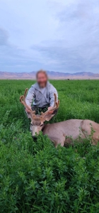 Eastern Oregon Running G Farm - image 37