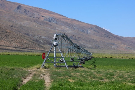 Eastern Oregon Running G Farm - image 33