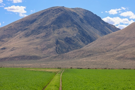 Eastern Oregon Running G Farm - image 35