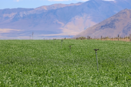 Eastern Oregon Running G Farm - image 25
