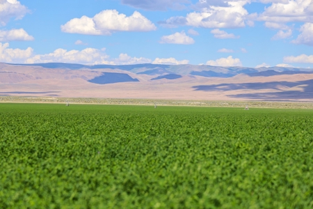 Eastern Oregon Running G Farm - image 21