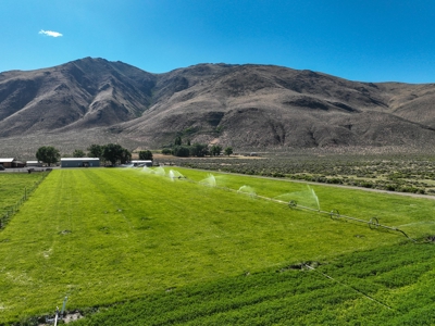 Eastern Oregon Running G Farm - image 43