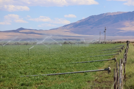 Eastern Oregon Running G Farm - image 26