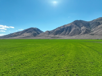 Eastern Oregon Running G Farm - image 41