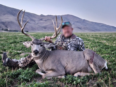 Eastern Oregon Running G Farm - image 38