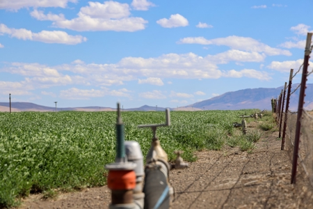 Eastern Oregon Running G Farm - image 22