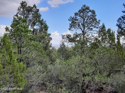 Remote Off Grid Northern Az Property - image 3