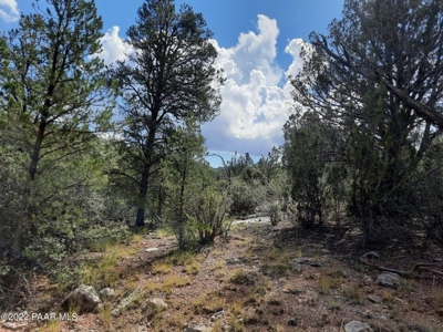 Remote Off Grid Northern Az Property - image 5