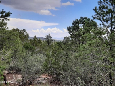 Remote Off Grid Northern Az Property - image 1