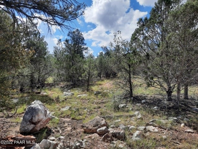 Remote Off Grid Northern Az Property - image 6
