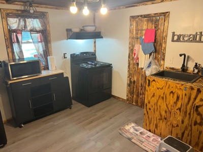 Restored Cabin for Sale in Hiwassee VA - image 4