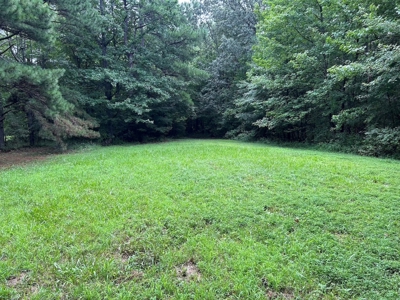 Vacant Lot in Town in Jonesboro Arkansas - image 10