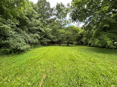 Vacant Lot in Town in Jonesboro Arkansas - image 8