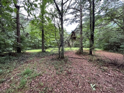 Vacant Lot in Town in Jonesboro Arkansas - image 9