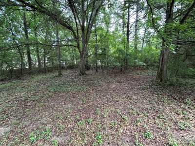 Vacant Lot in Town in Jonesboro Arkansas - image 11