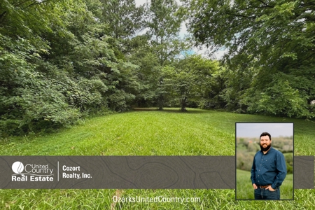 Vacant Lot in Town in Jonesboro Arkansas - image 1