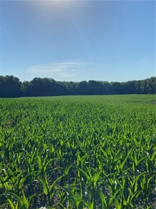 Grand River Bottom Farm in Gentry County MO - image 24