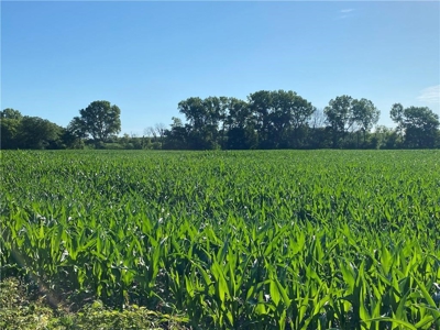 Grand River Bottom Farm in Gentry County MO - image 23