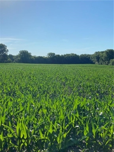Grand River Bottom Farm in Gentry County MO - image 22