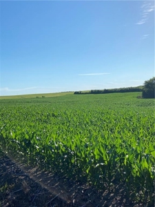 Grand River Bottom Farm in Gentry County MO - image 25