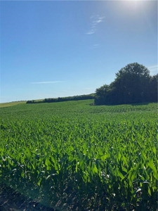 Grand River Bottom Farm in Gentry County MO - image 26