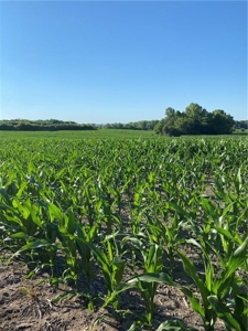 Grand River Bottom Farm in Gentry County MO - image 20