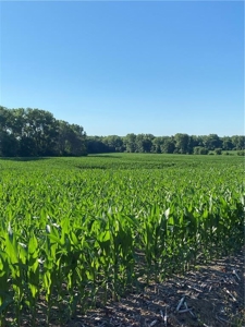 Grand River Bottom Farm in Gentry County MO - image 21