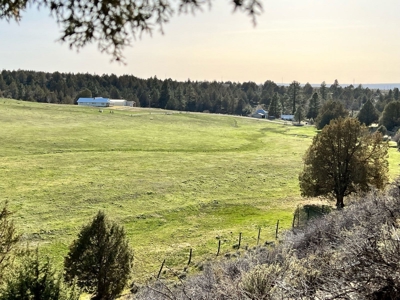 Two Homes on 50 Acres – Equestrian & Nature Lover’s Dream! - image 30