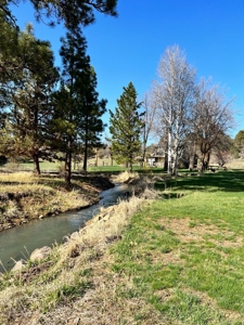 Two Homes on 50 Acres – Equestrian & Nature Lover’s Dream! - image 25