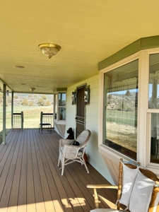 Two Homes on 50 Acres – Equestrian & Nature Lover’s Dream! - image 4