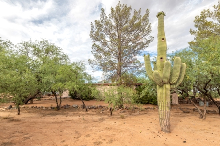 22+/- Acre Desert Retreat with Home and Horse Facilities - image 45