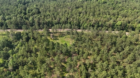 Land With River Access in Camden, Alabama - image 3