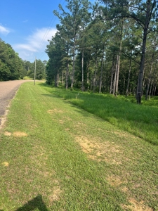 Land With River Access in Camden, Alabama - image 4
