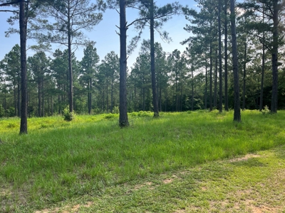 Land With River Access in Camden, Alabama - image 6