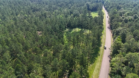 Land With River Access in Camden, Alabama - image 2