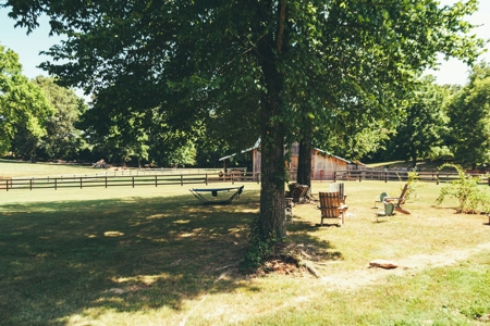 Rustic/Easy Living In The Ozarks - image 11