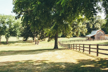 Rustic/Easy Living In The Ozarks - image 4