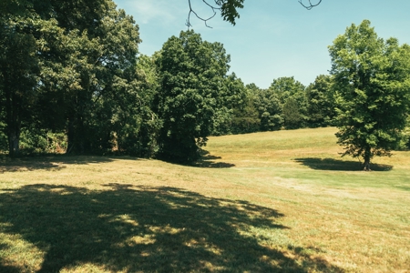 Rustic/Easy Living In The Ozarks - image 3