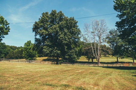 Rustic/Easy Living In The Ozarks - image 10