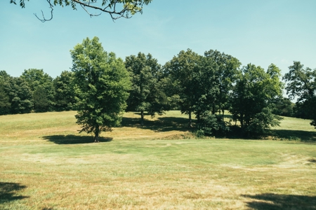 Rustic/Easy Living In The Ozarks - image 2