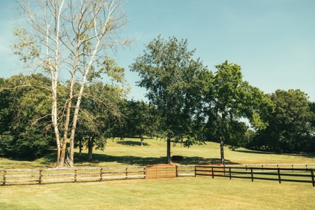 Rustic/Easy Living In The Ozarks - image 13