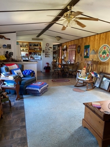 Country Home for Sale in Check VA - image 6