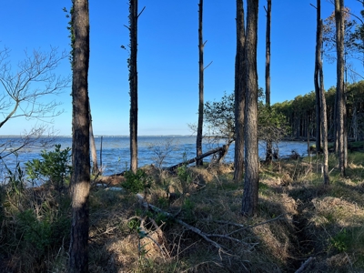 Unrestricted Land for Sale in Hyde County, NC - image 1