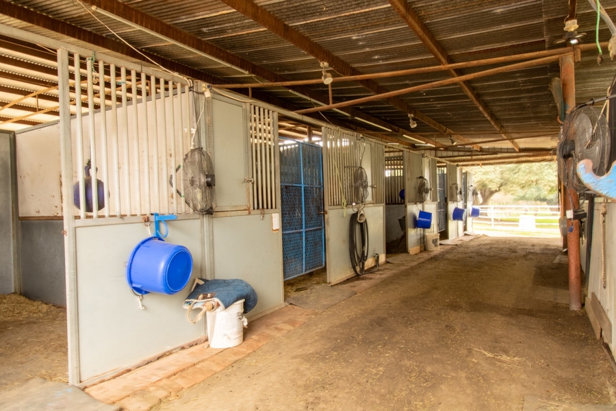 Stalls