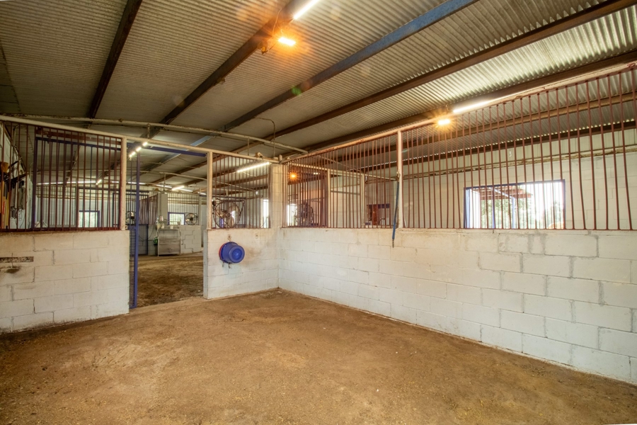 Stall