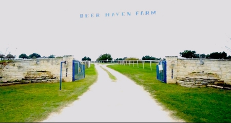 100 Acre Horse Farm w/ Home & Creek Near Waco & Temple TX - image 46