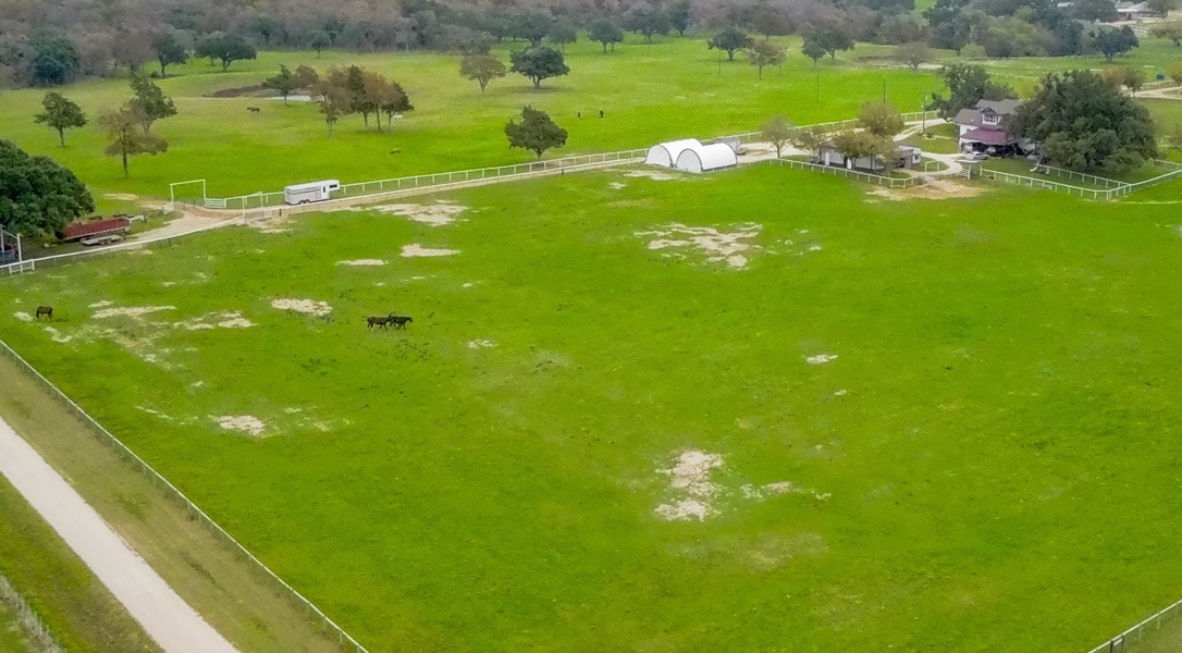 Pasture behind house